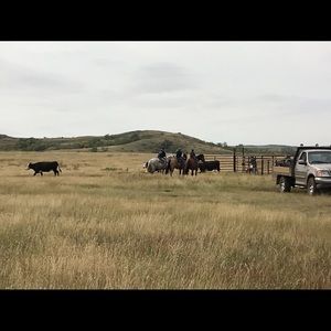 Meet your Posher, Acacia